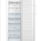 Congélateur Armoire HISENSE - FV298N4AWE